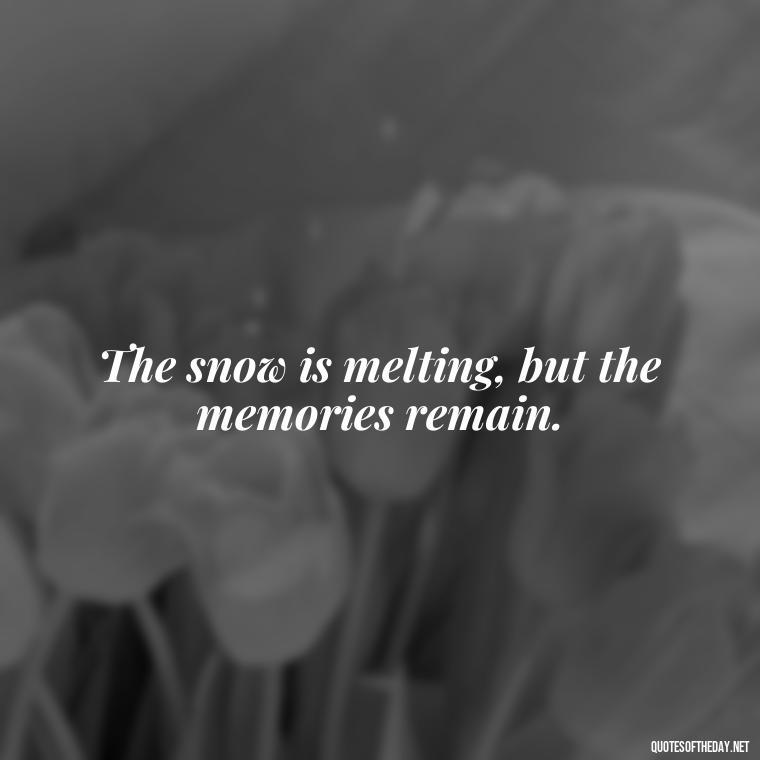 The snow is melting, but the memories remain. - Japanese Quotes Short