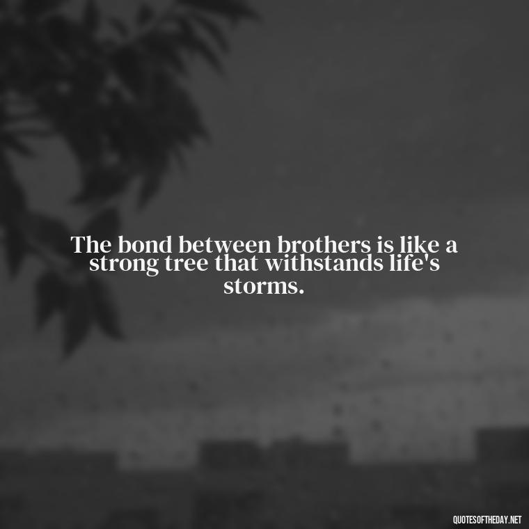 The bond between brothers is like a strong tree that withstands life's storms. - Quotes About Brothers Love