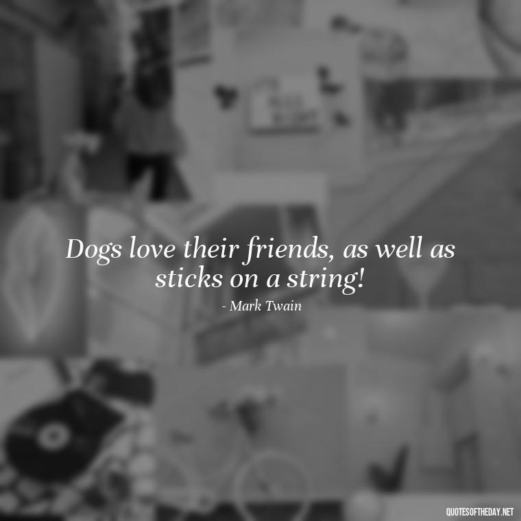 Dogs love their friends, as well as sticks on a string! - Quotes About Pets Unconditional Love