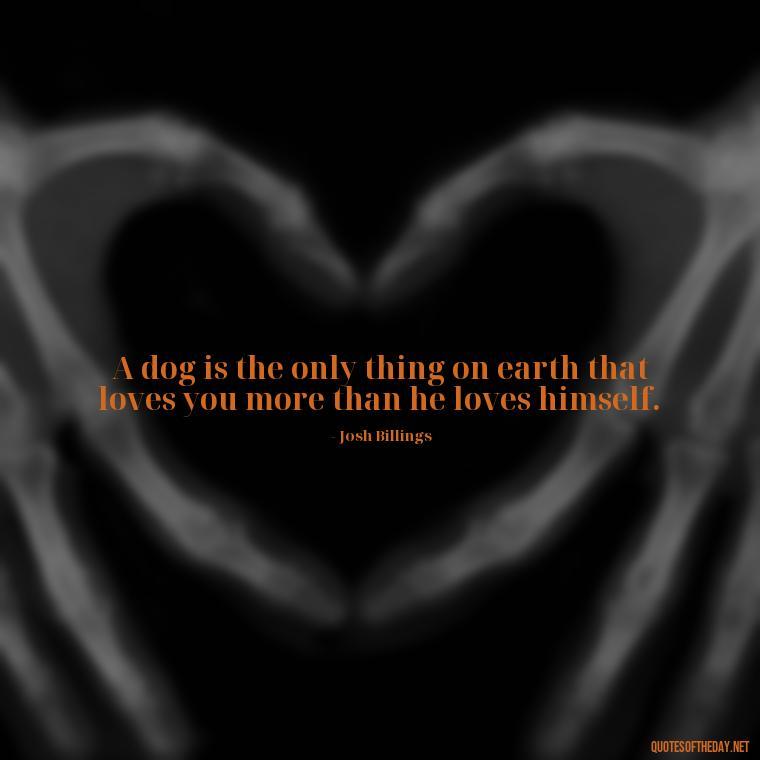 A dog is the only thing on earth that loves you more than he loves himself. - Quotes About A Dogs Love