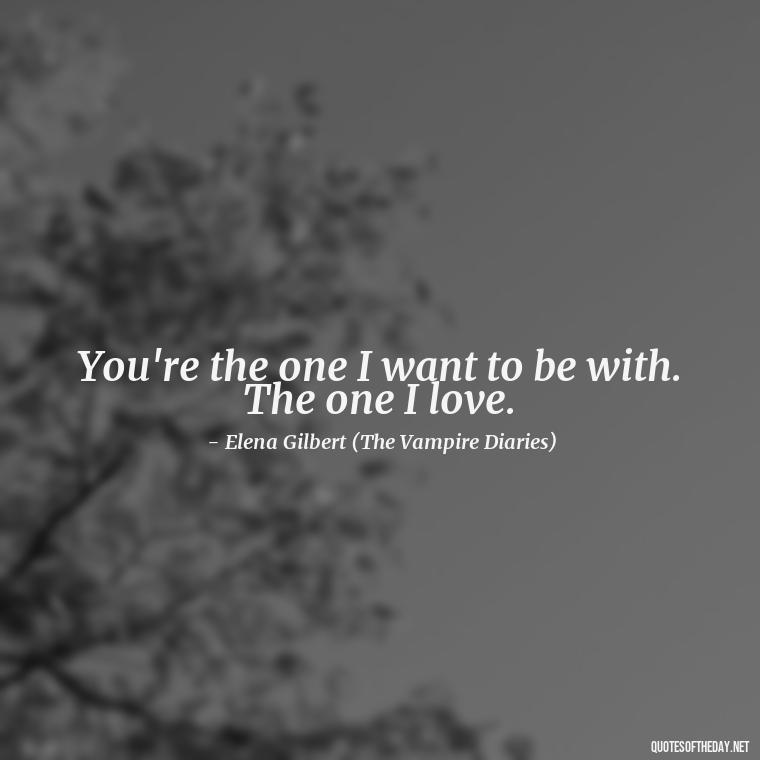 You're the one I want to be with. The one I love. - Love Quotes From The Vampire Diaries