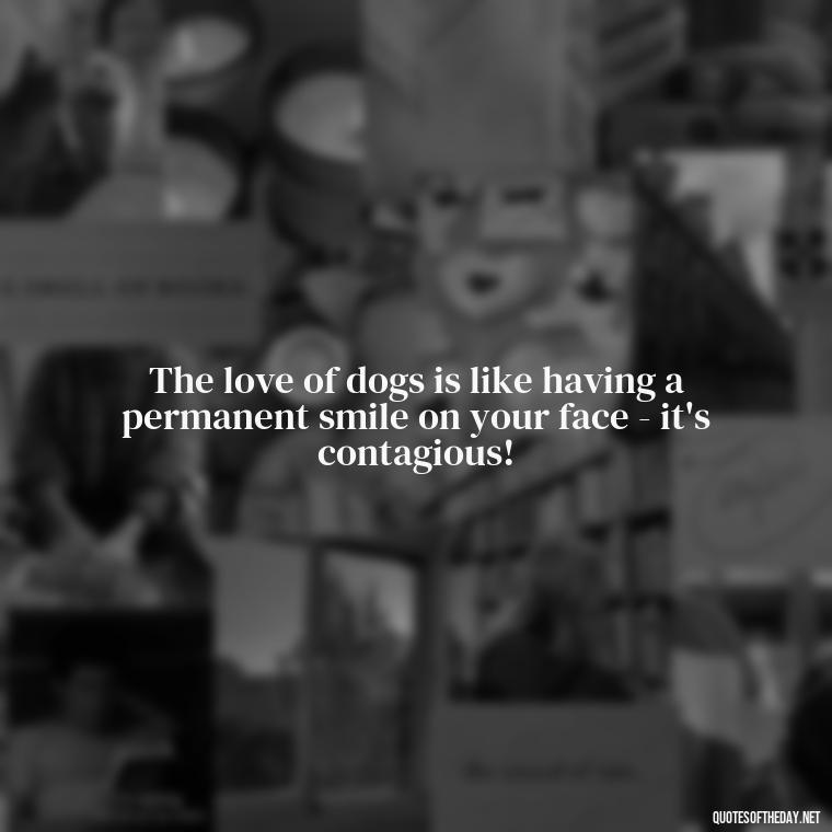 The love of dogs is like having a permanent smile on your face - it's contagious! - Dog Love Quotes For Instagram