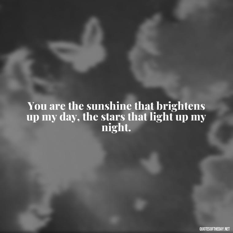 You are the sunshine that brightens up my day, the stars that light up my night. - I Love You My Friend Quotes