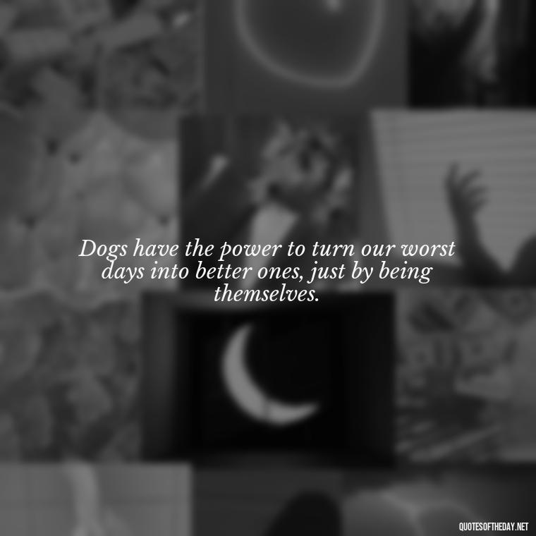 Dogs have the power to turn our worst days into better ones, just by being themselves. - Love For My Dog Quotes