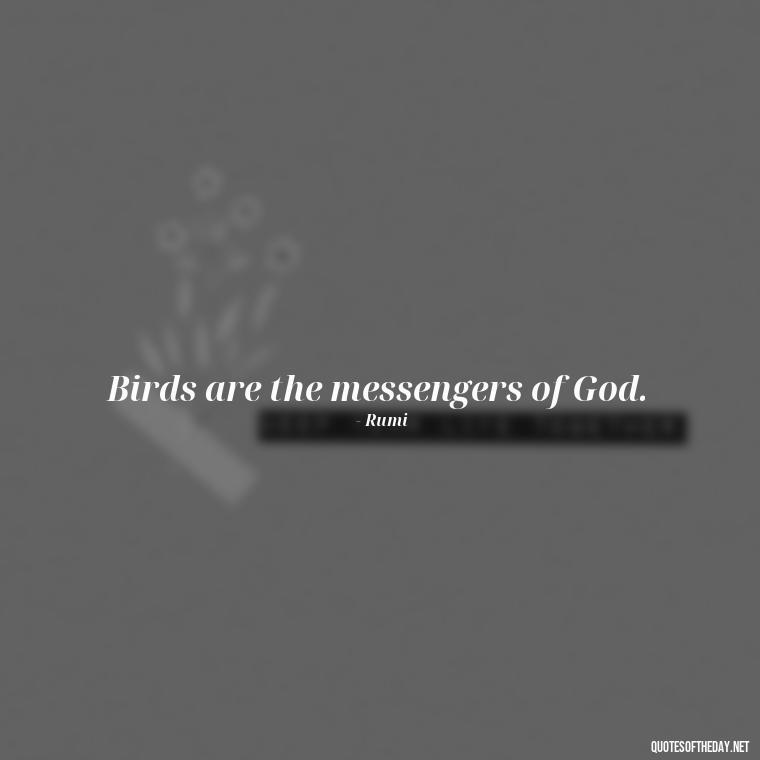 Birds are the messengers of God. - Short Quotes On Birds