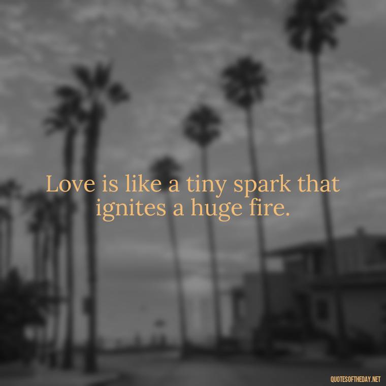 Love is like a tiny spark that ignites a huge fire. - Cute Simple Quotes About Love