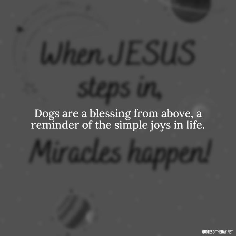 Dogs are a blessing from above, a reminder of the simple joys in life. - Dog Love Quotes For Instagram