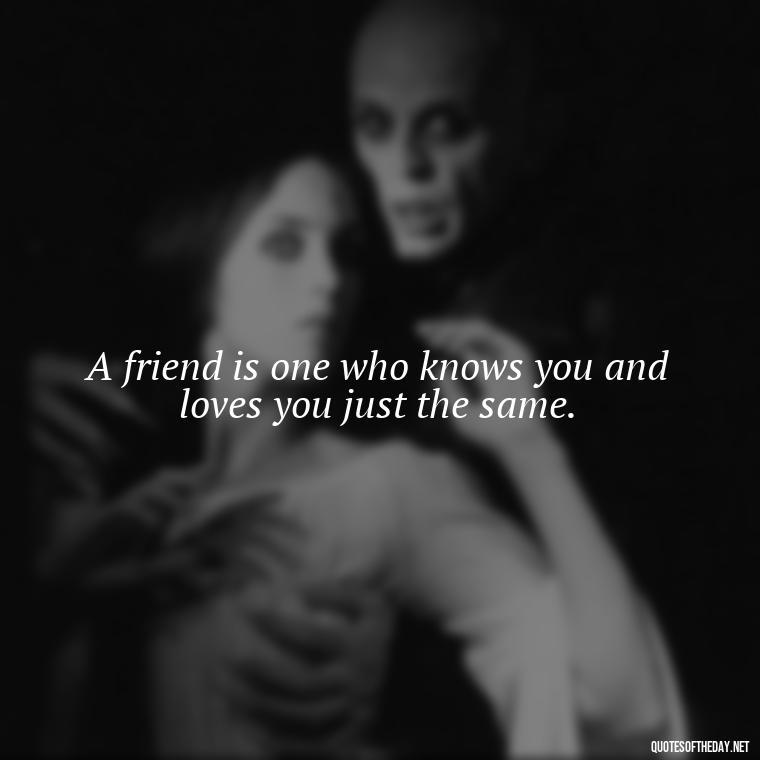 A friend is one who knows you and loves you just the same. - Cute Short Friendship Quotes