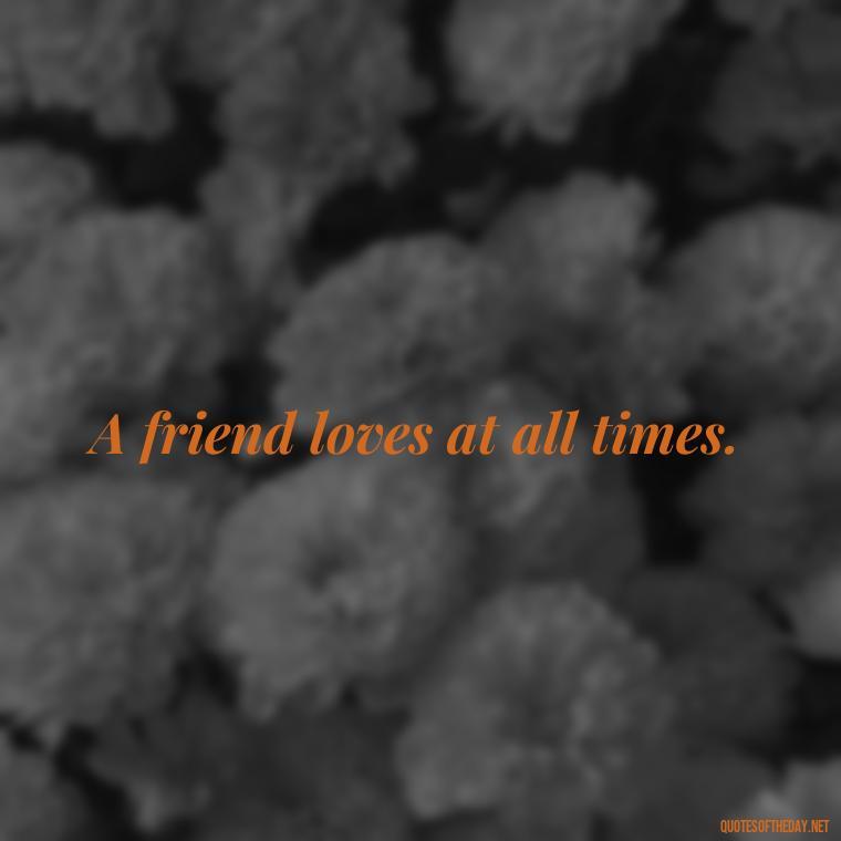 A friend loves at all times. - Popular Bible Quotes About Love