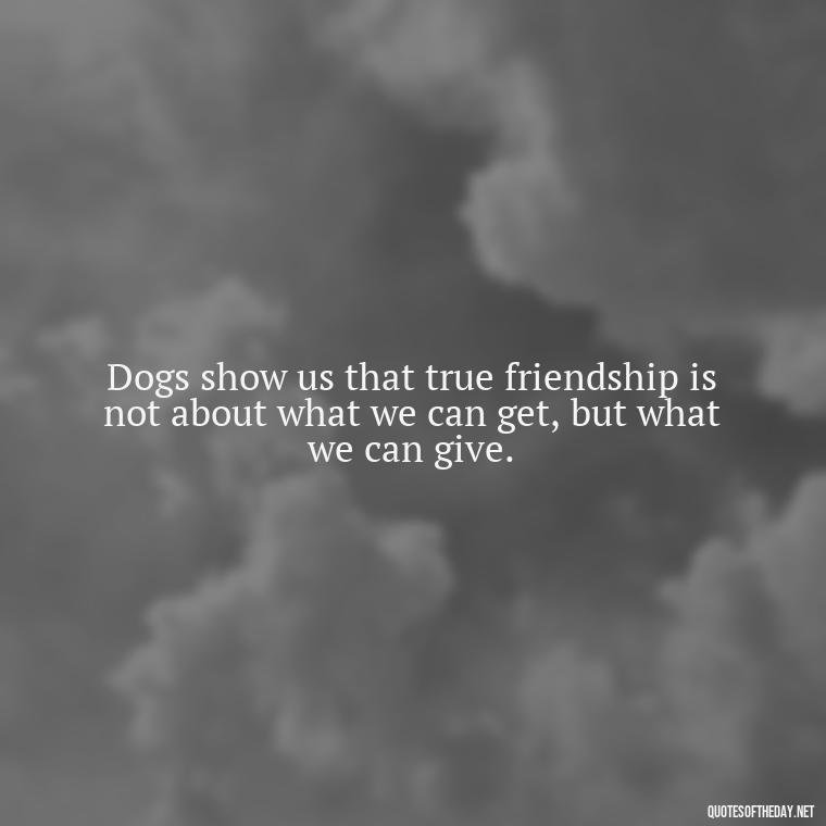 Dogs show us that true friendship is not about what we can get, but what we can give. - Dogs Love Unconditionally Quotes