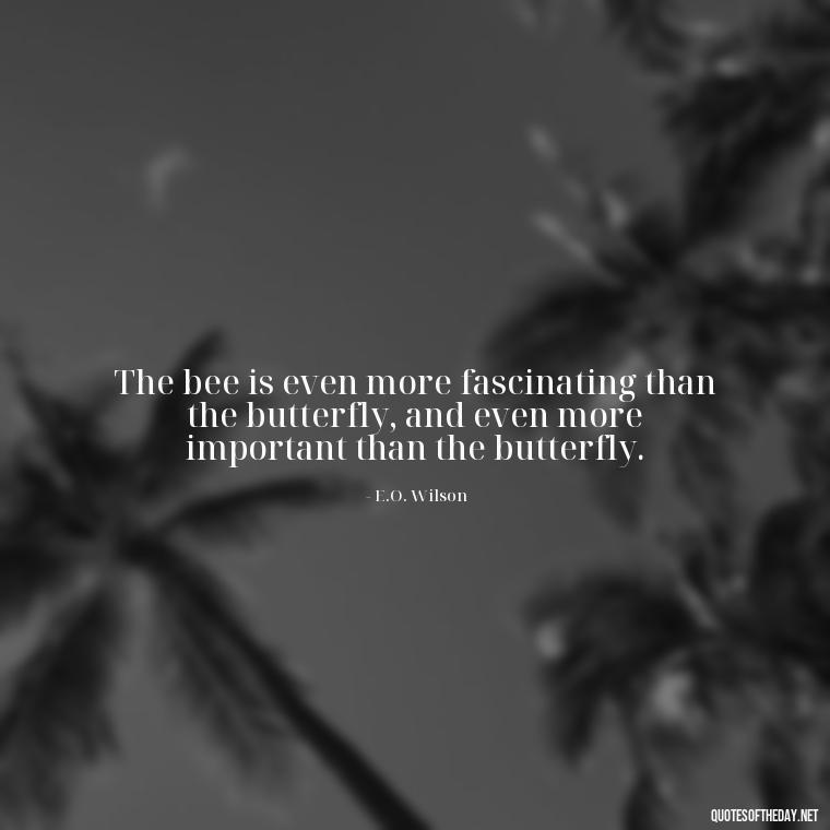 The bee is even more fascinating than the butterfly, and even more important than the butterfly. - Bee Quotes Short