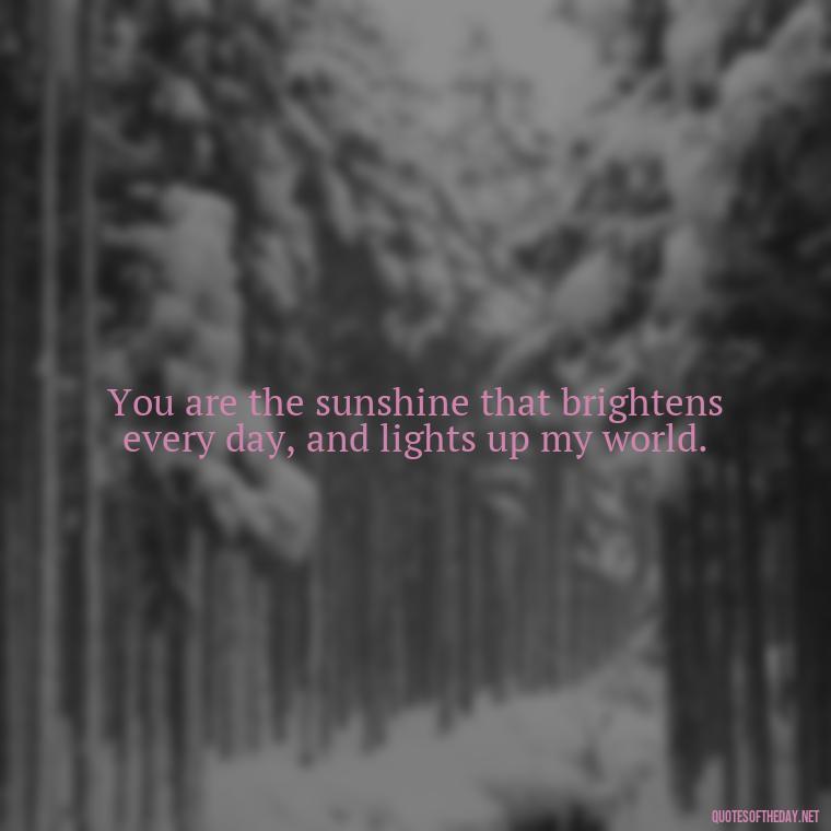 You are the sunshine that brightens every day, and lights up my world. - 1 Line Love Quotes