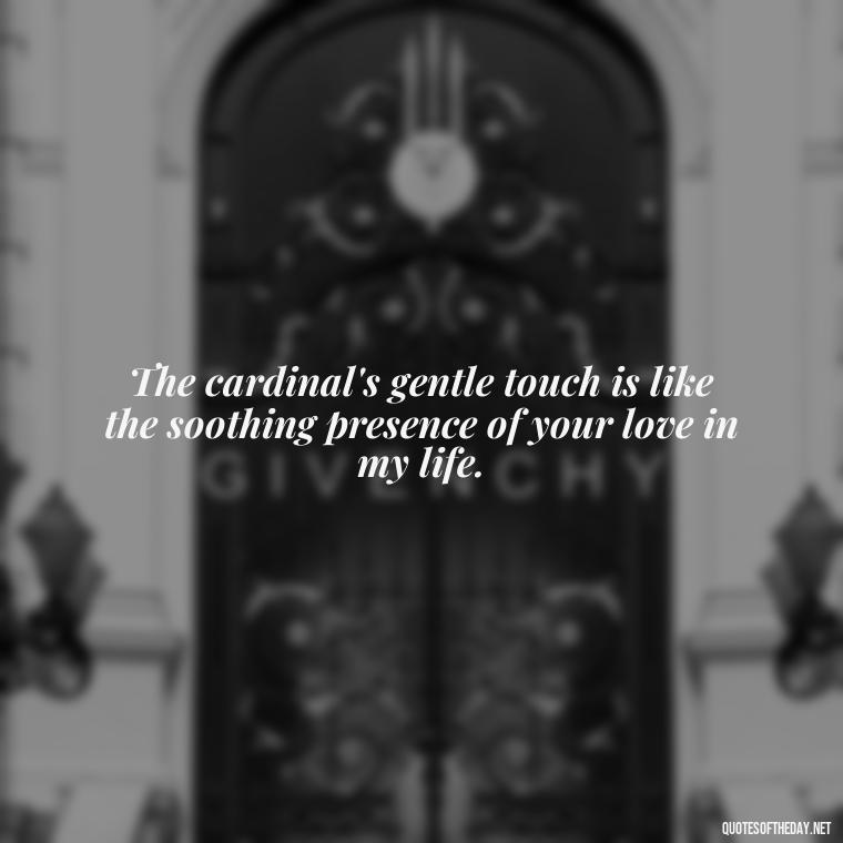 The cardinal's gentle touch is like the soothing presence of your love in my life. - Cardinal Loved One Quote