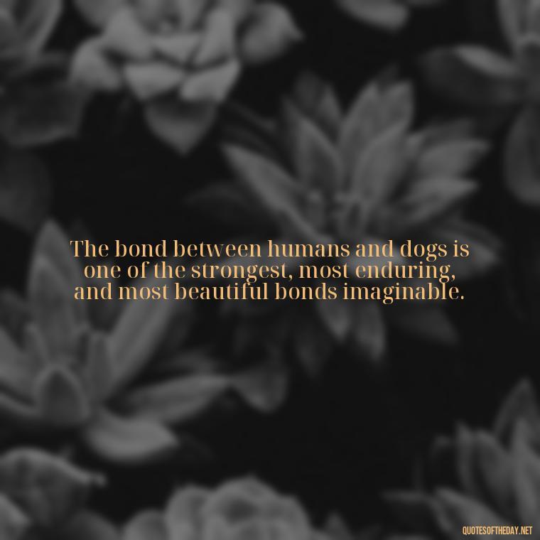 The bond between humans and dogs is one of the strongest, most enduring, and most beautiful bonds imaginable. - Love For My Dog Quotes