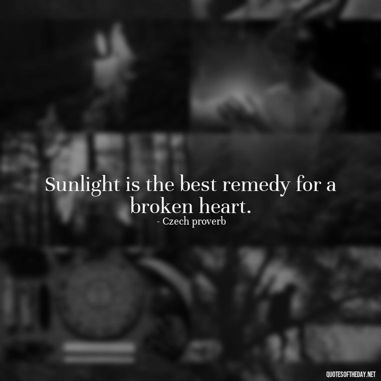 Sunlight is the best remedy for a broken heart. - Love The Sun Quotes