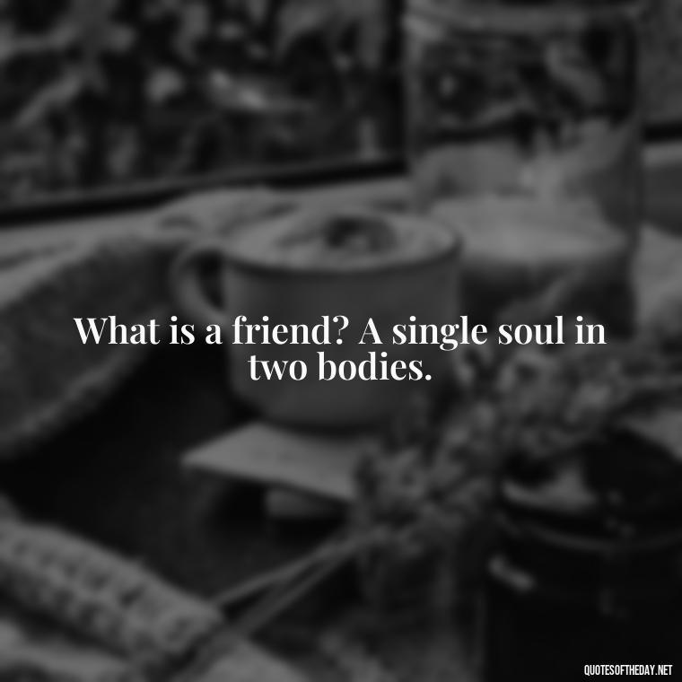 What is a friend? A single soul in two bodies. - Love Quotes For Your Friend