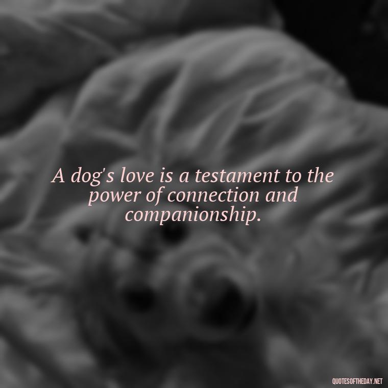 A dog's love is a testament to the power of connection and companionship. - Quotes About A Dogs Love