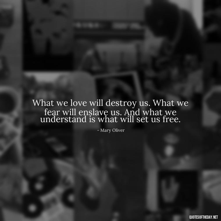 What we love will destroy us. What we fear will enslave us. And what we understand is what will set us free. - Mary Oliver Love Quotes