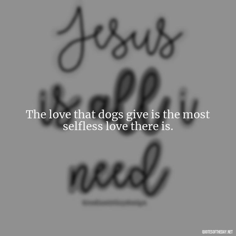 The love that dogs give is the most selfless love there is. - Quote About Dogs Love