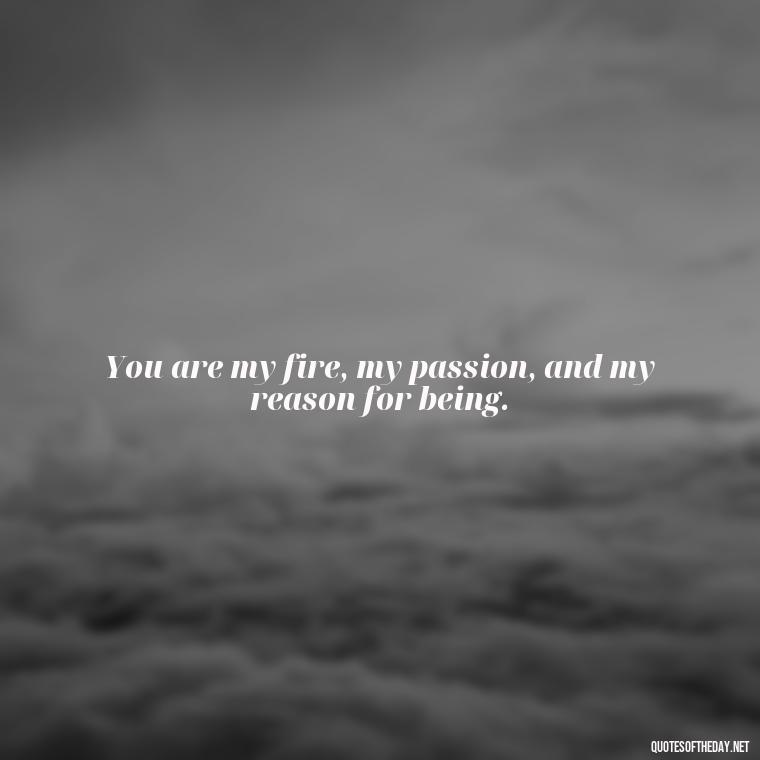 You are my fire, my passion, and my reason for being. - Love Quotes About Fire