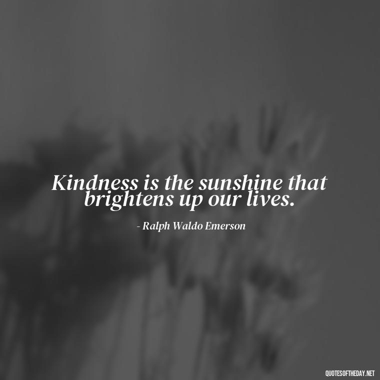 Kindness is the sunshine that brightens up our lives. - Kindness And Love Quotes