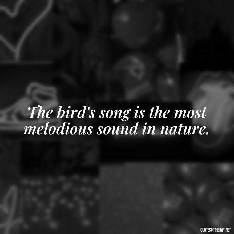 The bird's song is the most melodious sound in nature. - Short Quotes On Birds