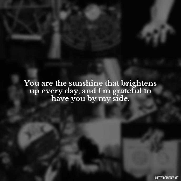 You are the sunshine that brightens up every day, and I'm grateful to have you by my side. - Quotes For Your Girlfriend Love