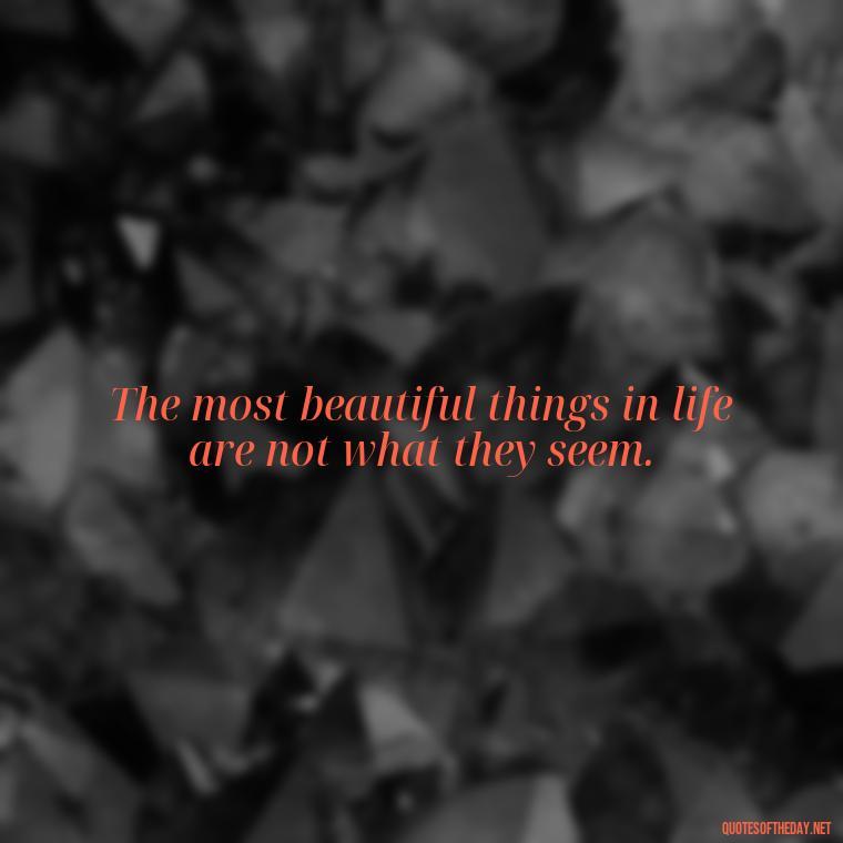 The most beautiful things in life are not what they seem. - Love Quotes Little Prince