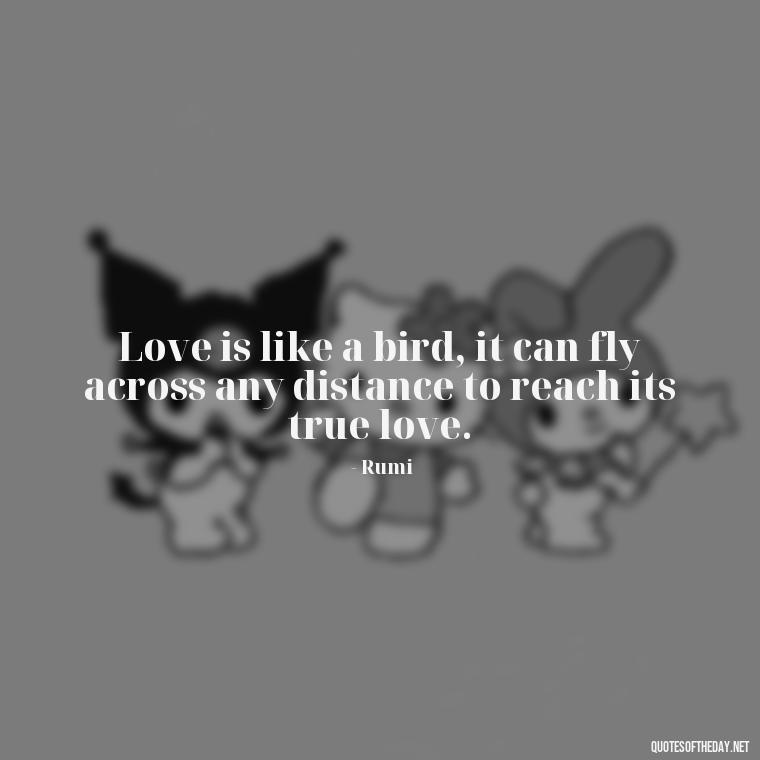 Love is like a bird, it can fly across any distance to reach its true love. - Love Someone From A Distance Quotes