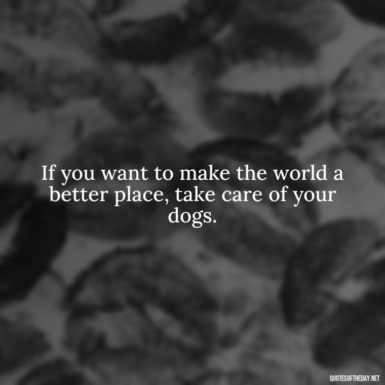 If you want to make the world a better place, take care of your dogs. - Love Your Dog Quotes