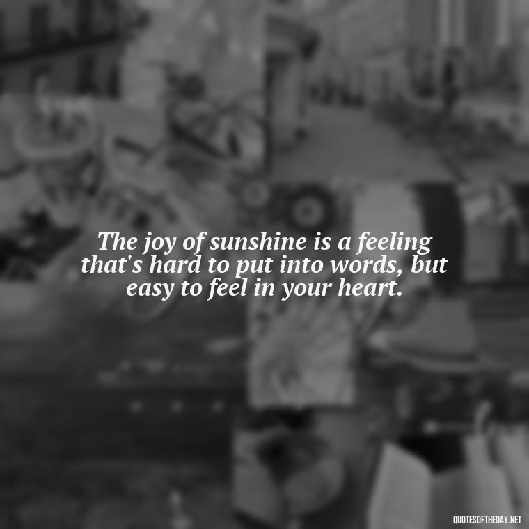 The joy of sunshine is a feeling that's hard to put into words, but easy to feel in your heart. - Love The Sunshine Quotes