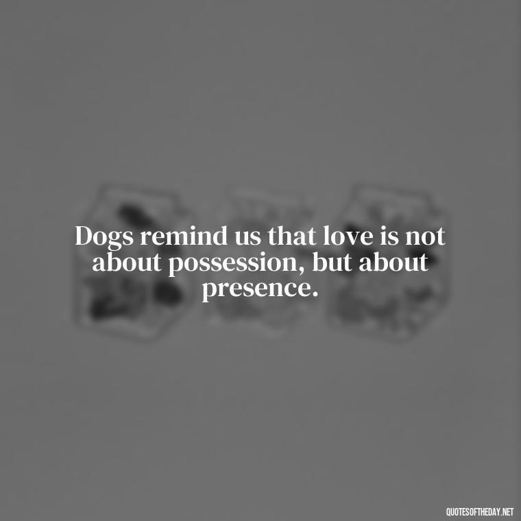 Dogs remind us that love is not about possession, but about presence. - Quotes About A Dogs Love