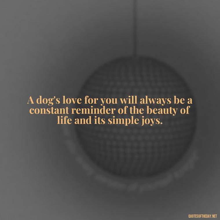 A dog's love for you will always be a constant reminder of the beauty of life and its simple joys. - Dogs Love Unconditionally Quotes