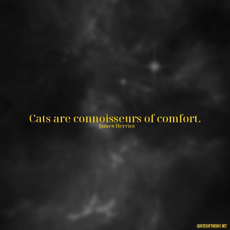 Cats are connoisseurs of comfort. - Quotes About Pets Unconditional Love