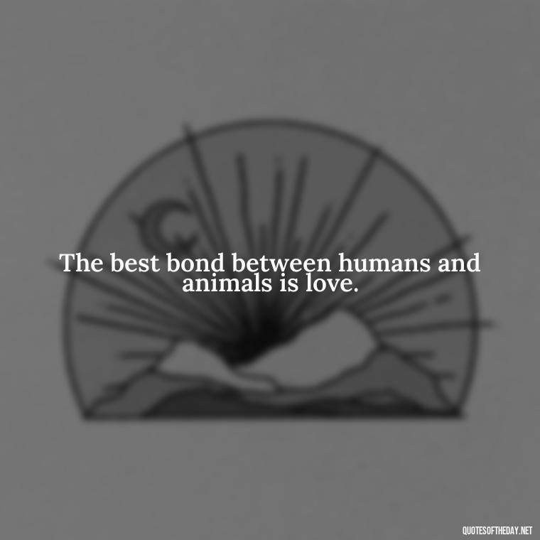 The best bond between humans and animals is love. - Quotes About Pets Unconditional Love