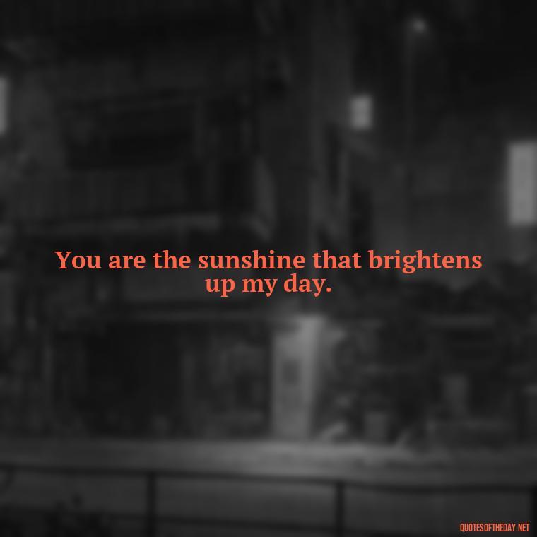 You are the sunshine that brightens up my day. - Short Quotes Of Thanks