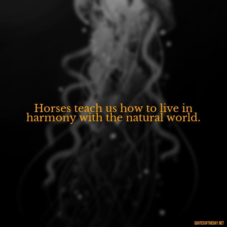 Horses teach us how to live in harmony with the natural world. - Horse Quotes Love