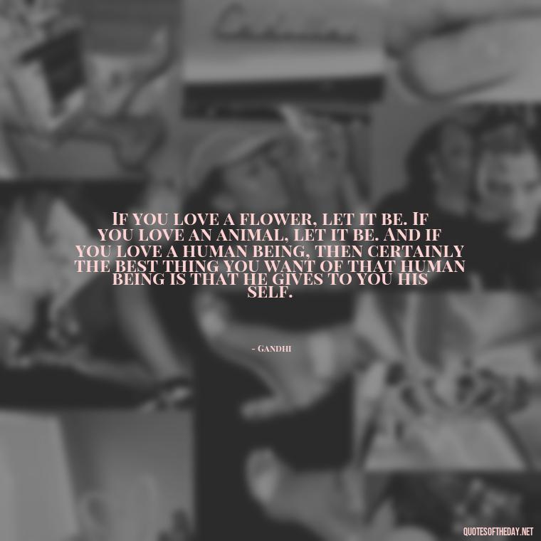 If you love a flower, let it be. If you love an animal, let it be. And if you love a human being, then certainly the best thing you want of that human being is that he gives to you his self. - Quotes From Gandhi About Love
