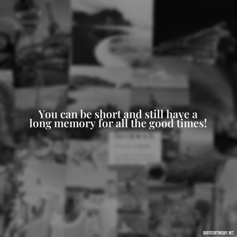 You can be short and still have a long memory for all the good times! - Short In Memory Quotes