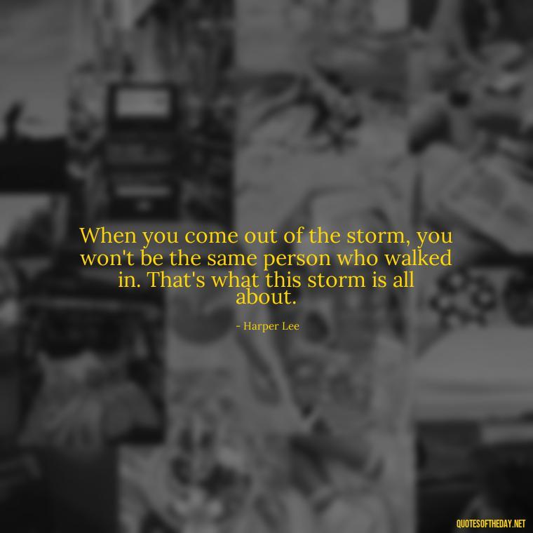 When you come out of the storm, you won't be the same person who walked in. That's what this storm is all about. - Quotes About Love And Struggle