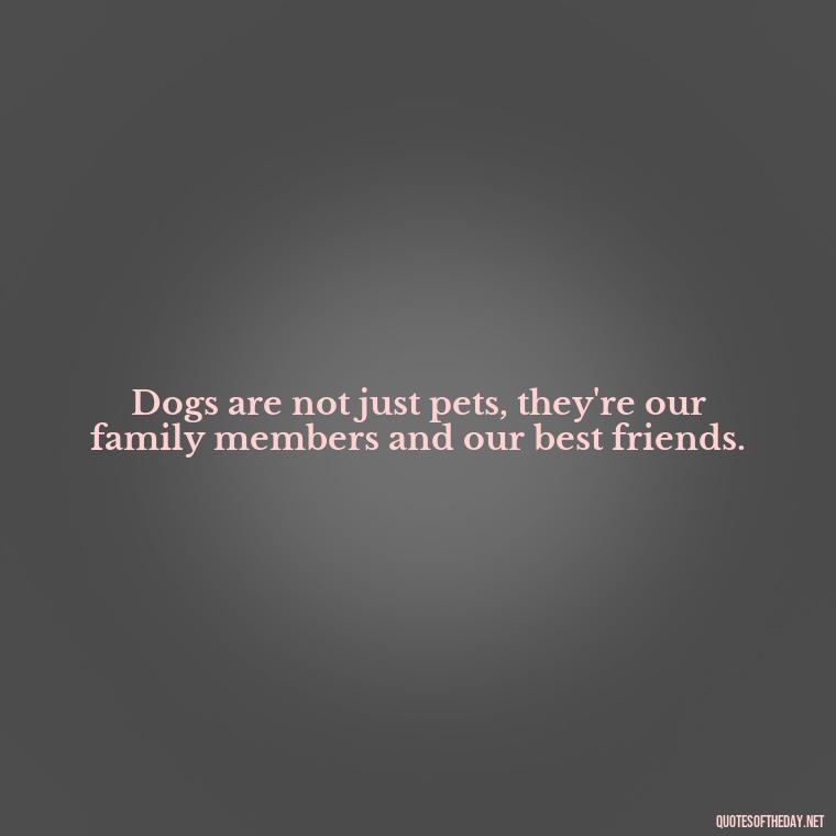 Dogs are not just pets, they're our family members and our best friends. - Love For My Dog Quotes