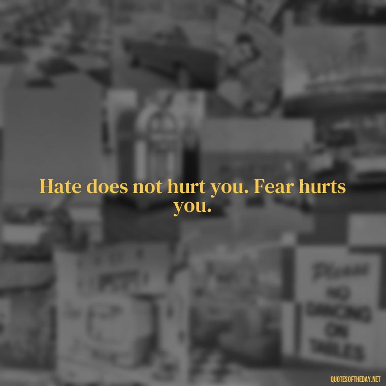 Hate does not hurt you. Fear hurts you. - Quotes About Love And Hate