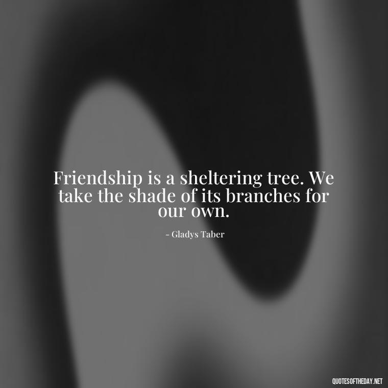 Friendship is a sheltering tree. We take the shade of its branches for our own. - Cute Short Friendship Quotes