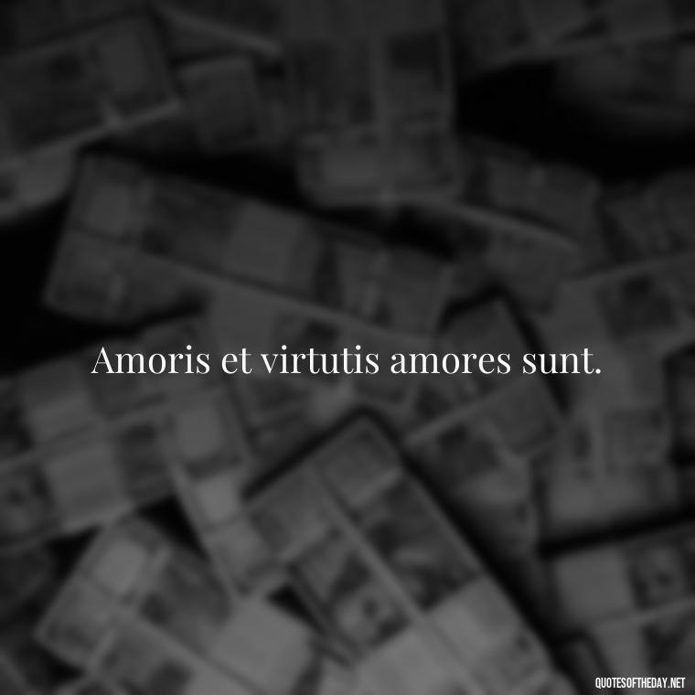 Amoris et virtutis amores sunt. - Love Quotes In Latin