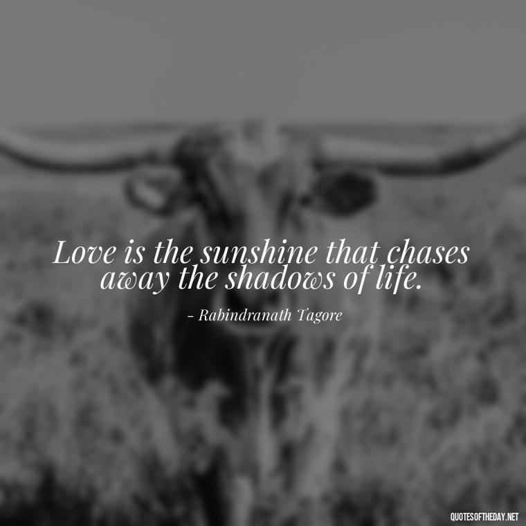 Love is the sunshine that chases away the shadows of life. - Quotes About Sunlight And Love