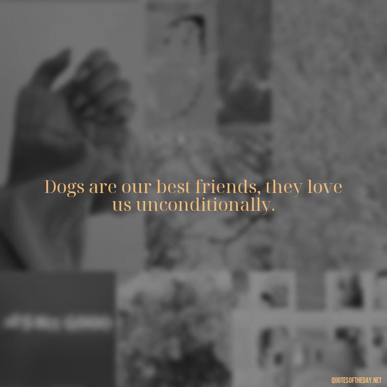 Dogs are our best friends, they love us unconditionally. - A Dogs Love Quote