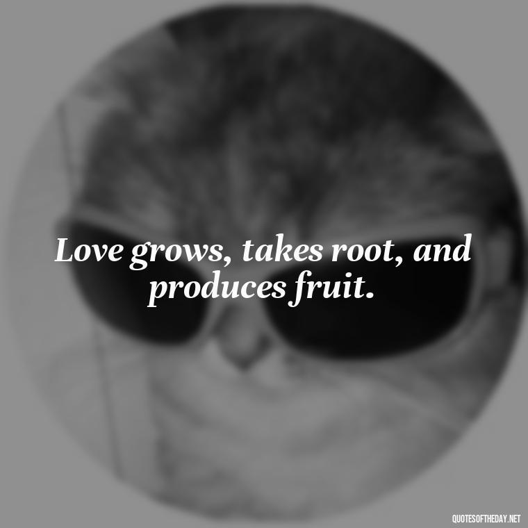 Love grows, takes root, and produces fruit. - Quote Love Grows