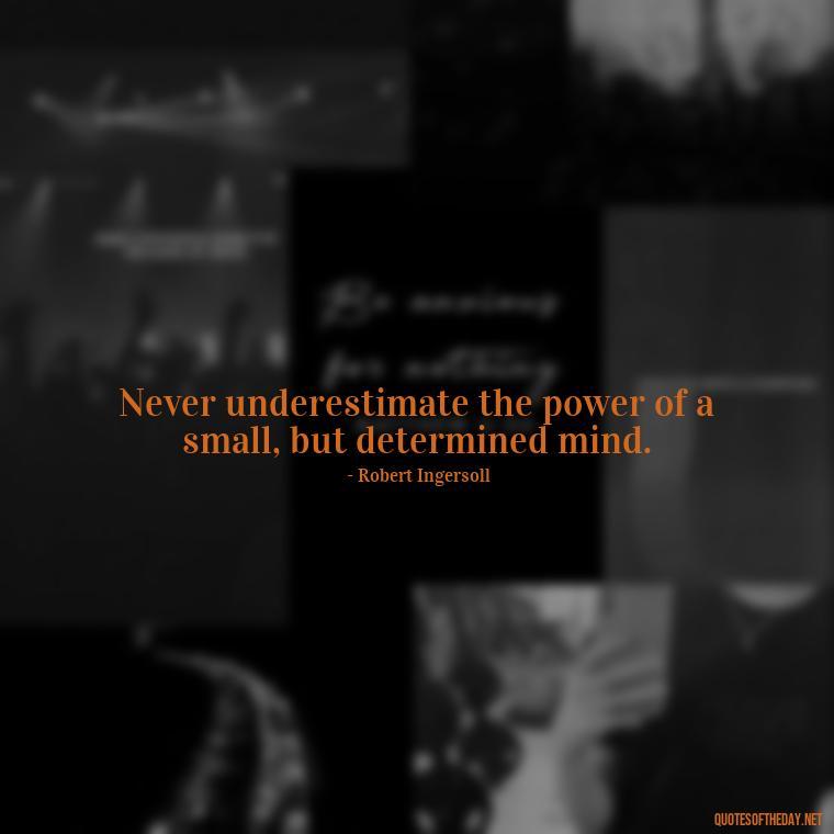 Never underestimate the power of a small, but determined mind. - Sell Yourself Short Quotes