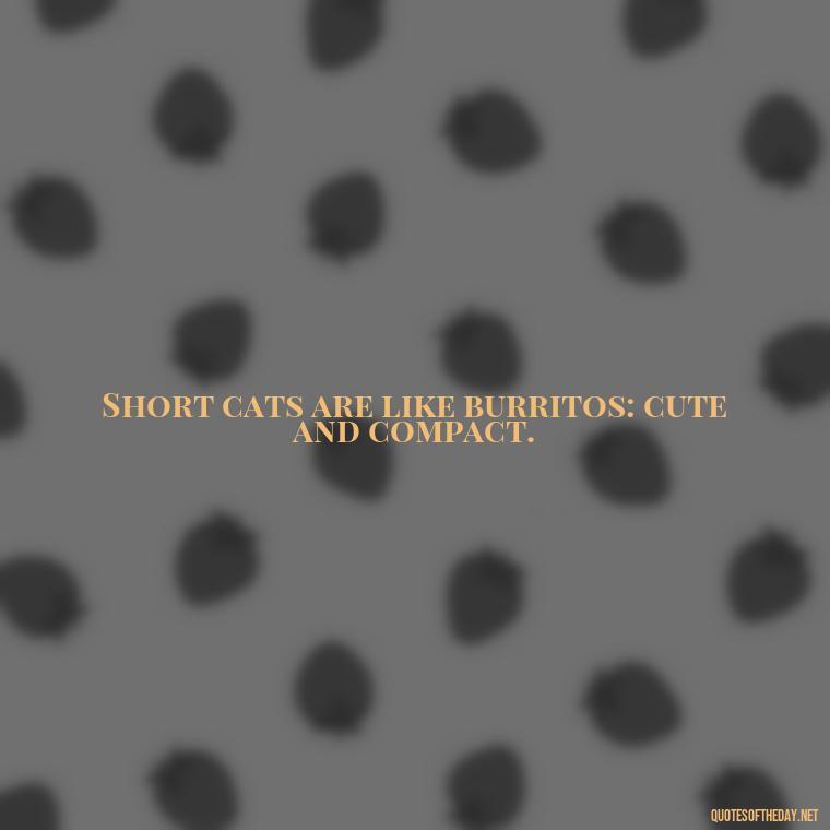 Short cats are like burritos: cute and compact. - Short Cute Cat Quotes