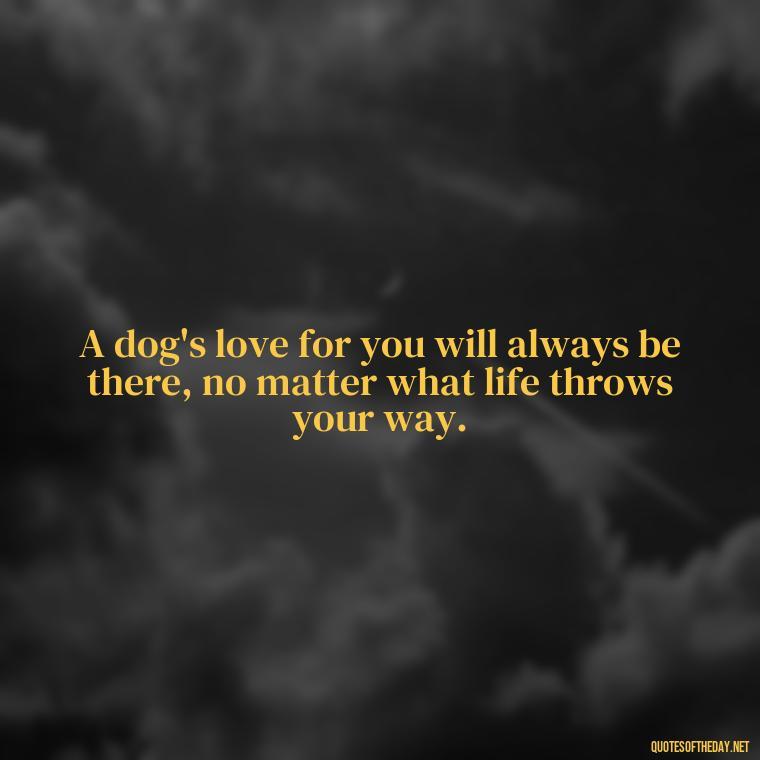 A dog's love for you will always be there, no matter what life throws your way. - Dogs Love Unconditionally Quotes